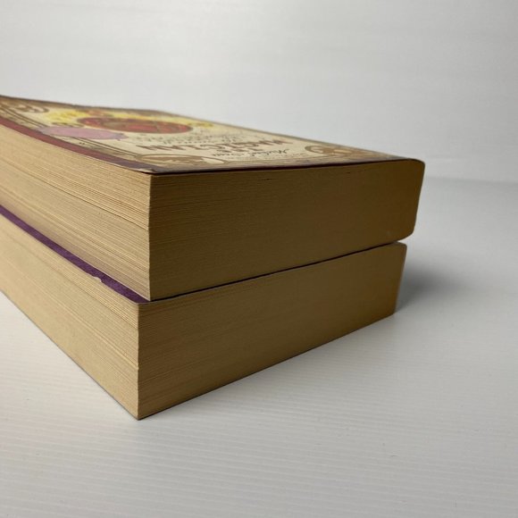 Secrets Of The Immortal Nicholas Flamel By Michael Scott Books 2 & 3 Medium PB - Picture 5 of 9